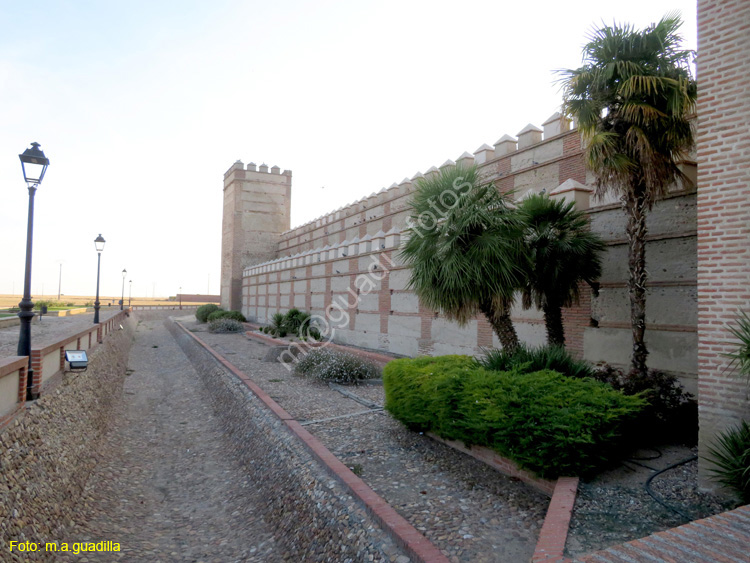 MADRIGAL DE LAS ALTAS TORRES (225) Muralla