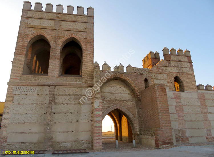 MADRIGAL DE LAS ALTAS TORRES (235) Puerta de Cantalapiedra