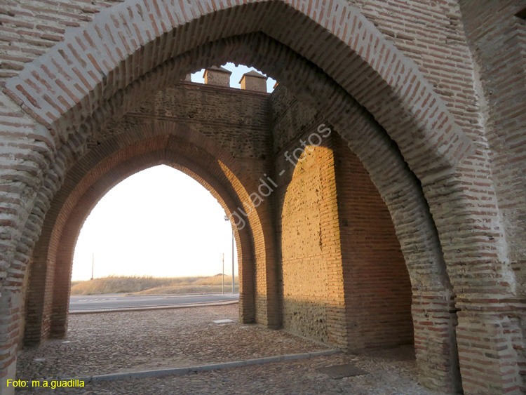 MADRIGAL DE LAS ALTAS TORRES (236) Puerta de Cantalapiedra