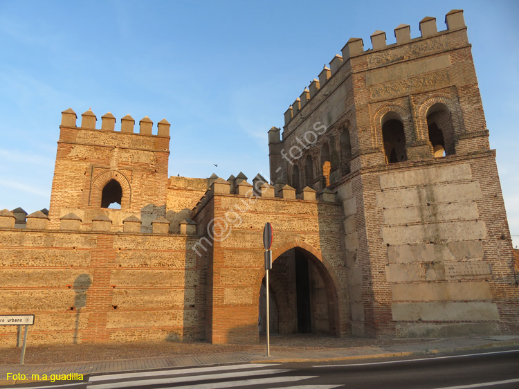 MADRIGAL DE LAS ALTAS TORRES (237) Puerta de Cantalapiedra