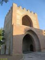 MADRIGAL DE LAS ALTAS TORRES (220) Puerta de Arevalo