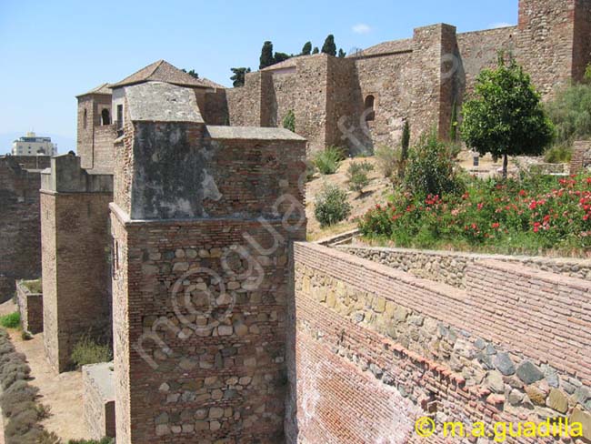 MALAGA 060 Alcazaba