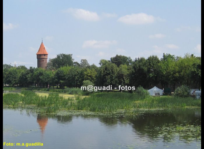 CASTILLO DE MALBORK (103)