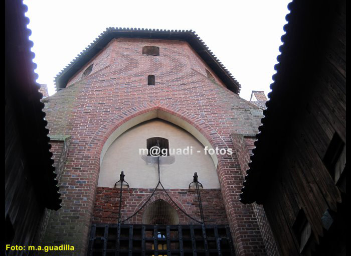 CASTILLO DE MALBORK (121)