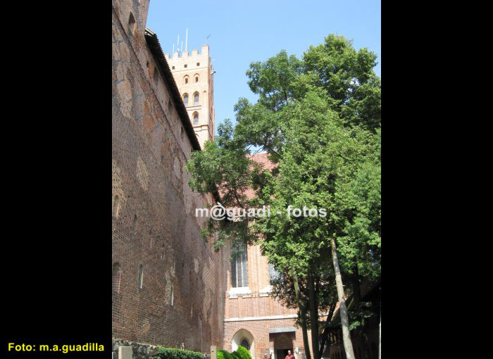 CASTILLO DE MALBORK (146)