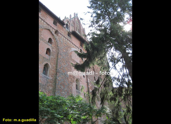 CASTILLO DE MALBORK (151)