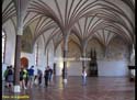 CASTILLO DE MALBORK (182)