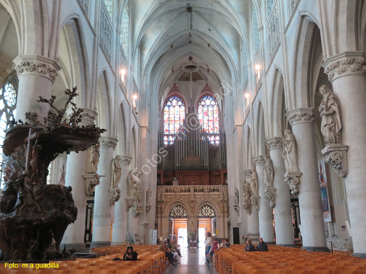MALINAS (189) Catedral de San Rumoldo