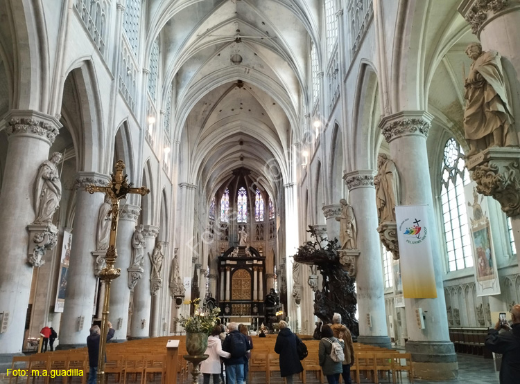 MALINAS (203) Catedral de San Rumoldo