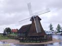 MARKEN (165)