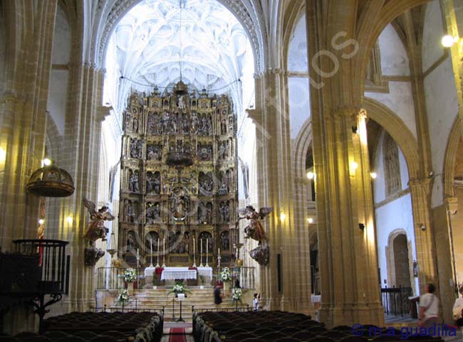 MEDINA SIDONIA 011