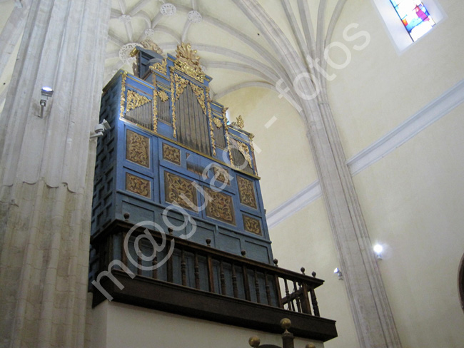 MEDINA DEL CAMPO 028 Iglesia Colegiata de San Antolin