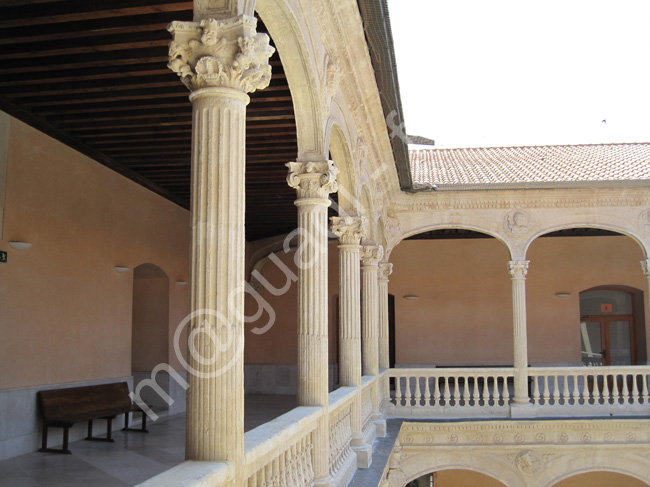 MEDINA DEL CAMPO 126 Palacio de las Dueñas