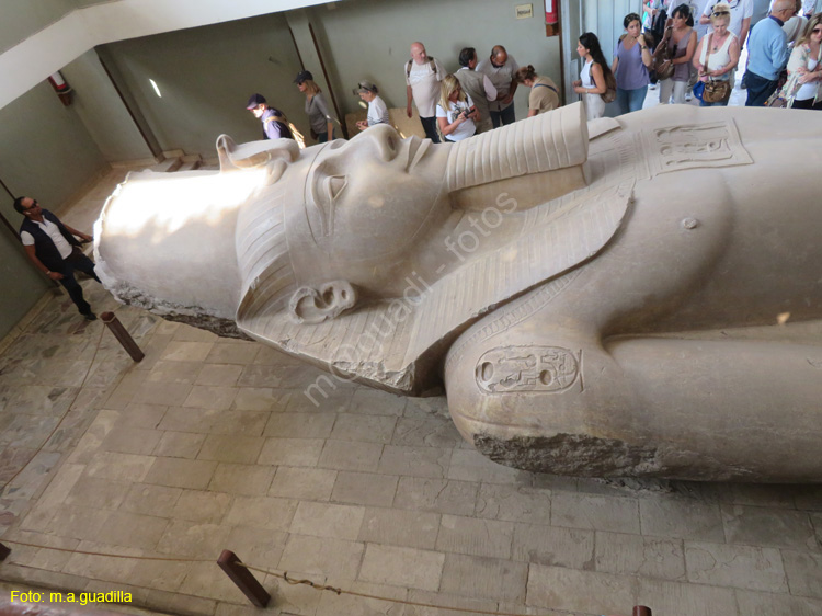 MENFIS (104) Coloso de Ramses II