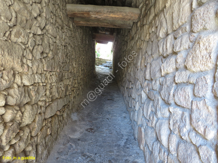 MOGARRAZ (118)