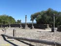 MOGARRAZ (101) Las Cruces