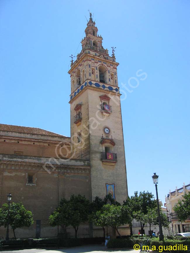 MOGUER 005