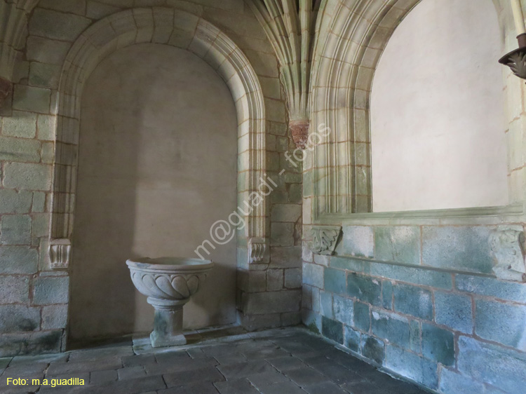 MONASTERIO DE OSEIRA (167)