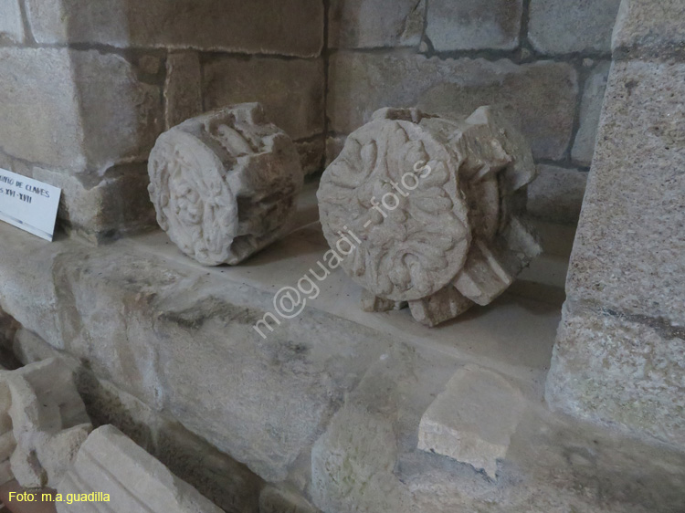 MONASTERIO DE OSEIRA (206)