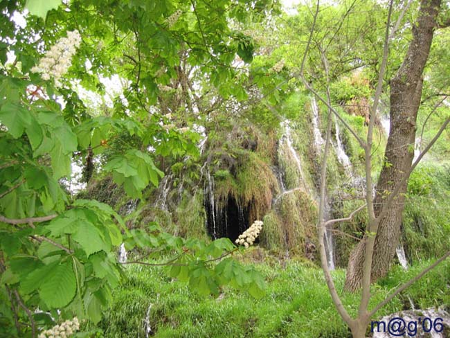 MONASTERIO DE PIEDRA - NUEVALOS - ZARAGOZA 042