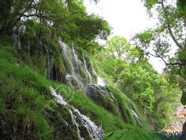 MONASTERIO DE PIEDRA - NUEVALOS - ZARAGOZA 043