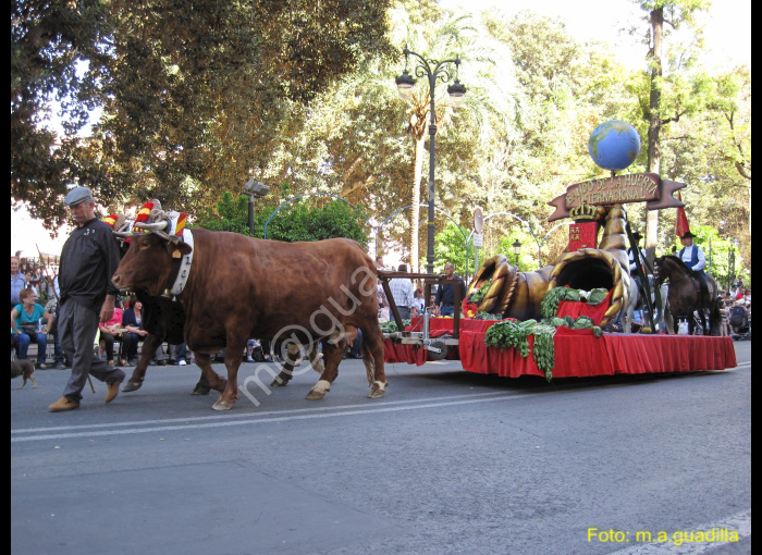 MURCIA - BANDO DE LA HUERTA (102)