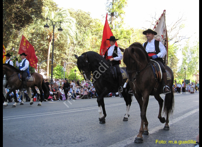 MURCIA - BANDO DE LA HUERTA (104)