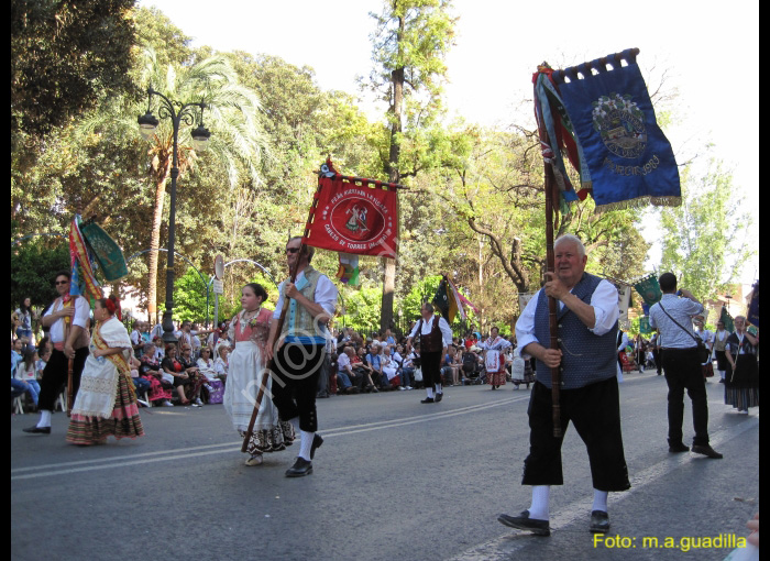 MURCIA - BANDO DE LA HUERTA (105)