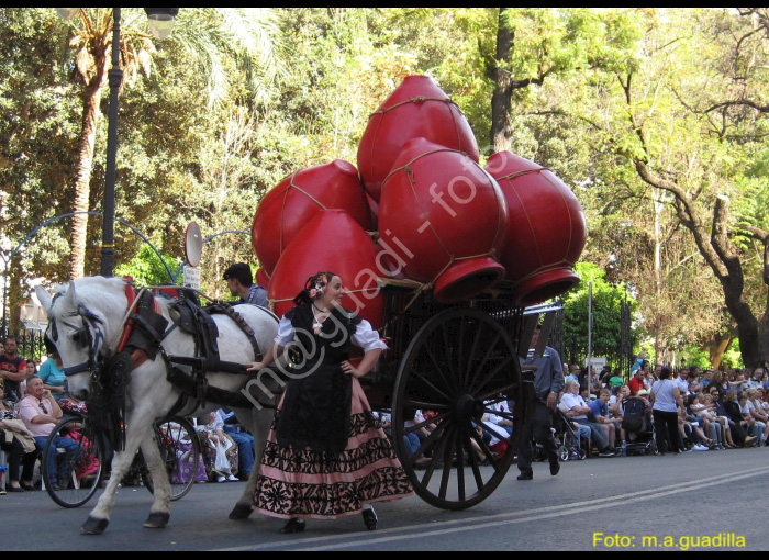 MURCIA - BANDO DE LA HUERTA (114)