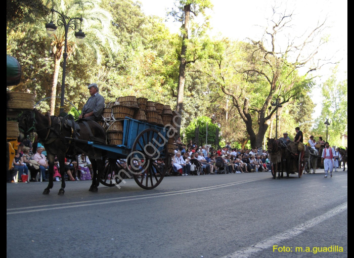 MURCIA - BANDO DE LA HUERTA (116)