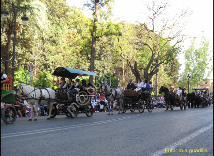 MURCIA - BANDO DE LA HUERTA (118)