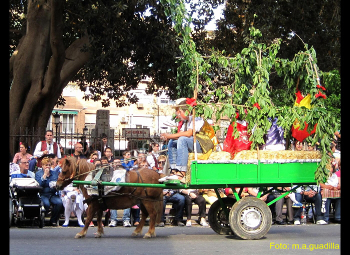 MURCIA - BANDO DE LA HUERTA (119)