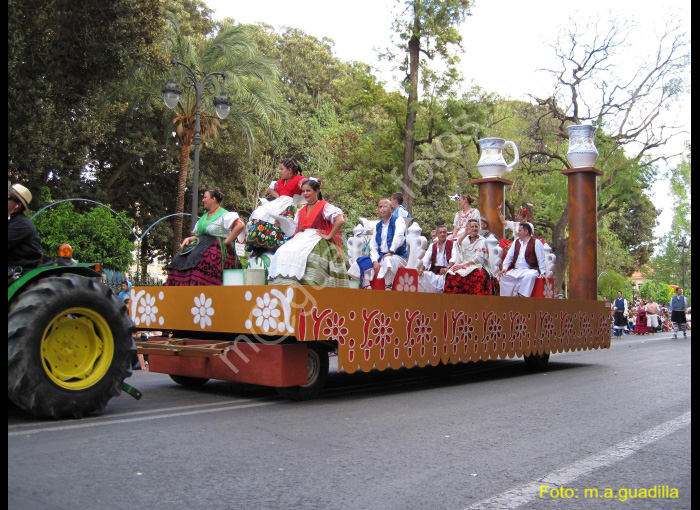 MURCIA - BANDO DE LA HUERTA (123)