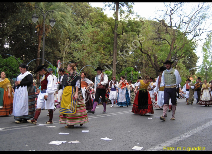 MURCIA - BANDO DE LA HUERTA (127)