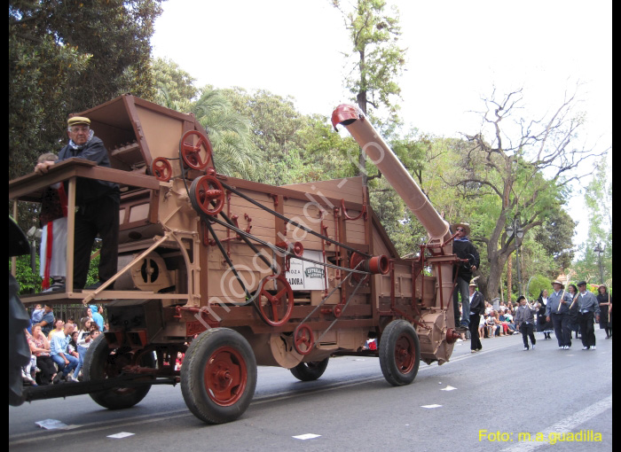 MURCIA - BANDO DE LA HUERTA (129)