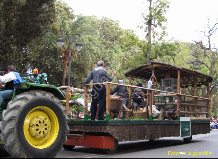 MURCIA - BANDO DE LA HUERTA (132)