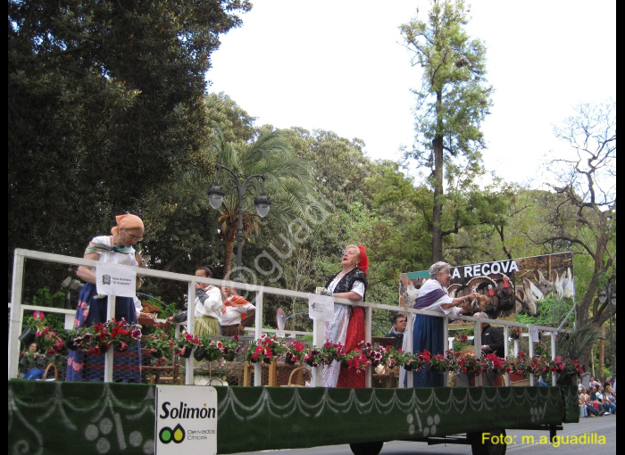 MURCIA - BANDO DE LA HUERTA (137)