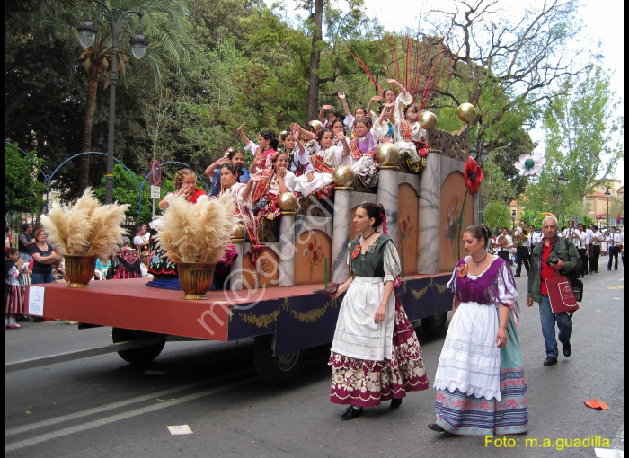 MURCIA - BANDO DE LA HUERTA (144)