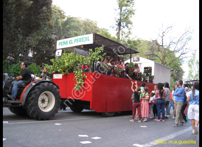 MURCIA - BANDO DE LA HUERTA (148)