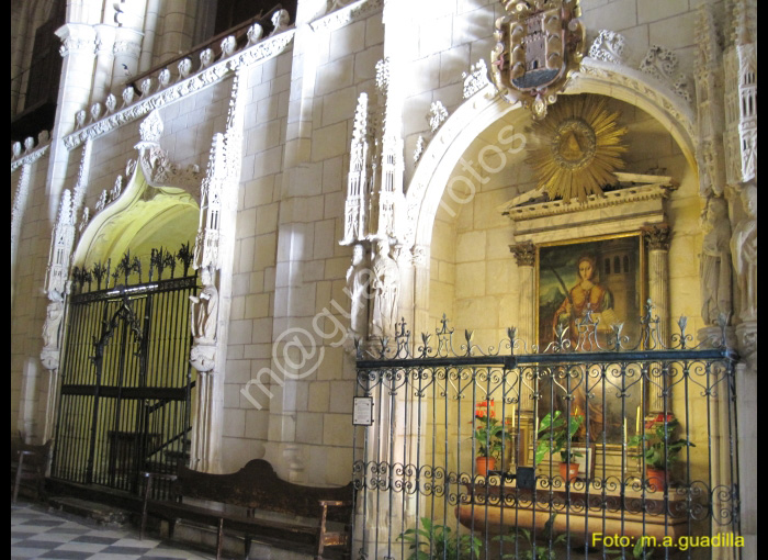 MURCIA CATEDRAL (142)