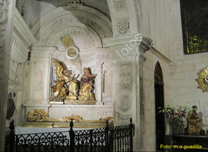 MURCIA CATEDRAL (144)