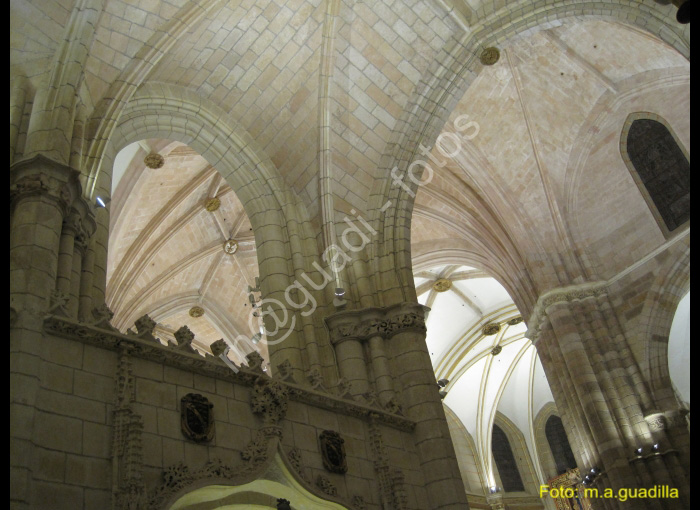 MURCIA CATEDRAL (146)