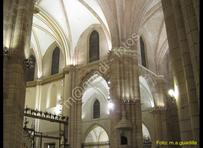 MURCIA CATEDRAL (149)