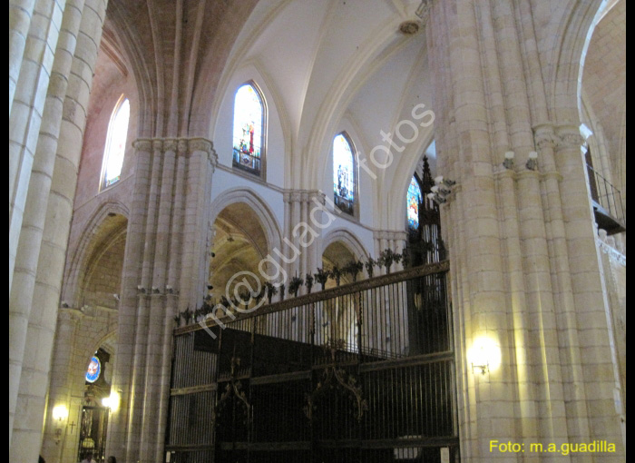 MURCIA CATEDRAL (150)