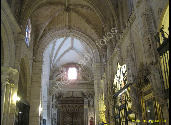 MURCIA CATEDRAL (154)