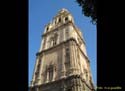 MURCIA CATEDRAL (157)