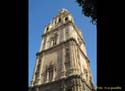 MURCIA CATEDRAL (157)