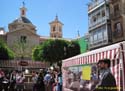 MURCIA - FIESTAS DE LA PRIMAVERA (123)