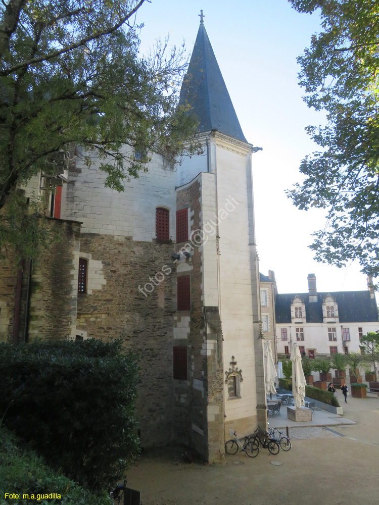 NANTES (169) Castillo de los Duques de la Bretaña