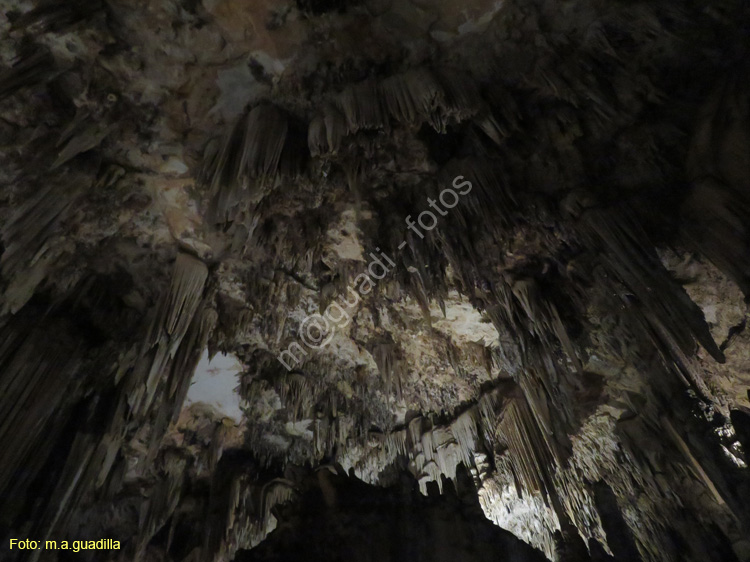NERJA (153) Cueva de Nerja